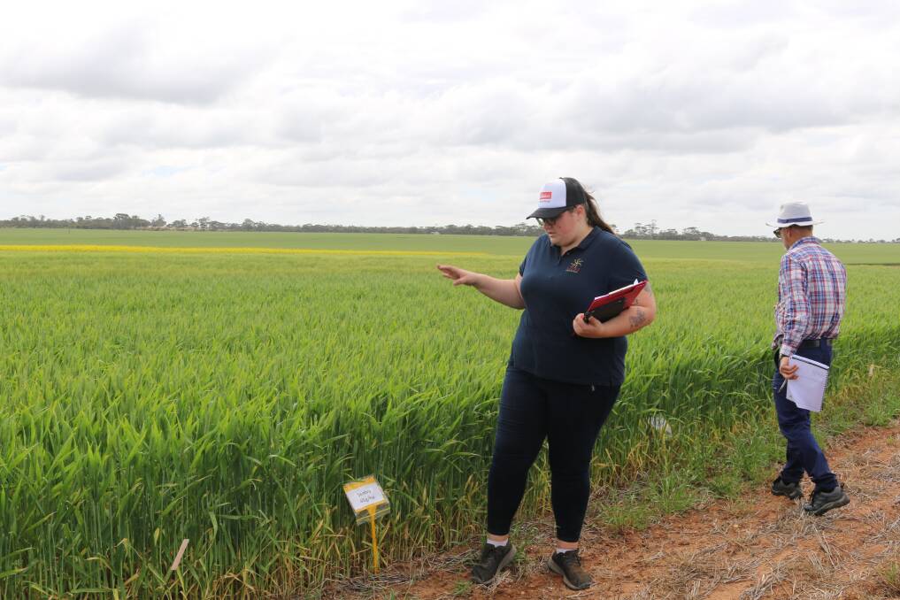 Liebe Group research and development co-ordinator Judy Storer presented results from the herbicide residue trial at the Spring Field Day on September 9. Photo by Liebe Group.