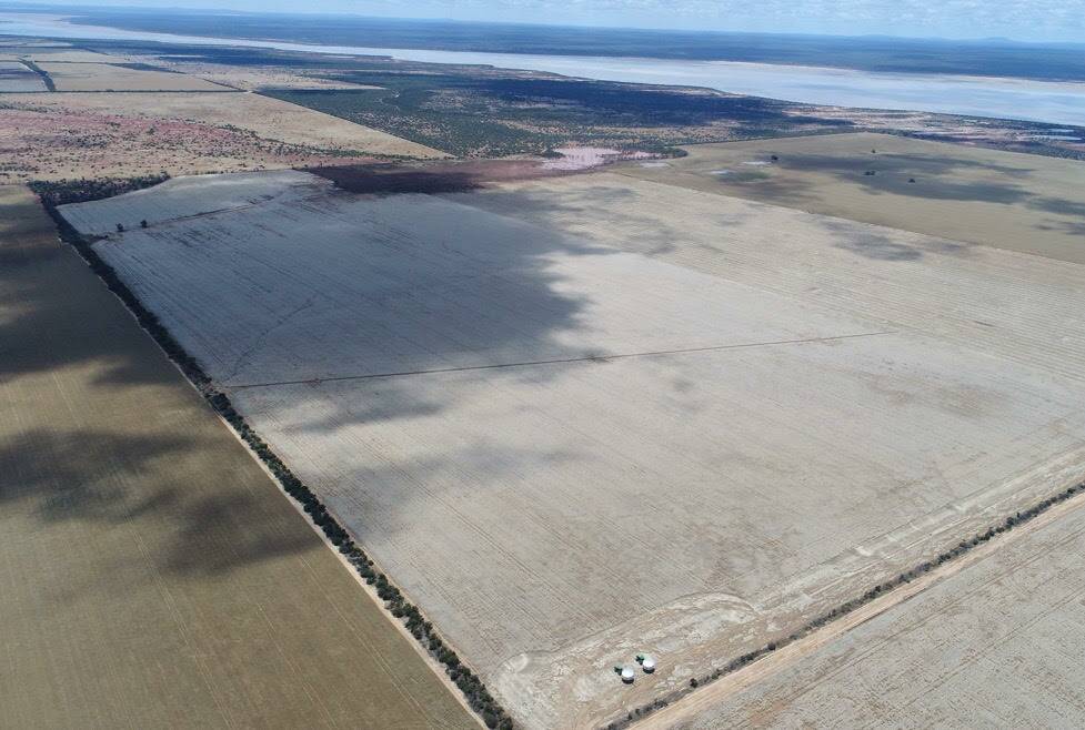 From the skies there is a dissappointing view as Mr Wilson lost 300 hectares of canola to hail.