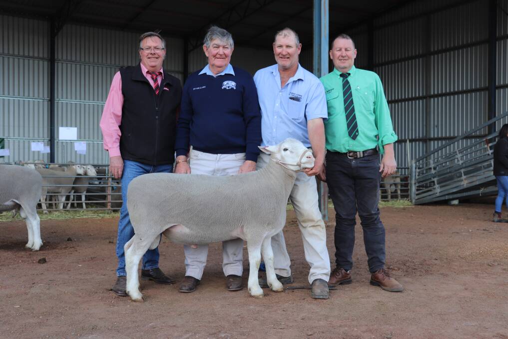 Elders stud stock representative ,Graeme Curry (left), Shirlee Downs and Dongadilling co-principals Chris and Adrian Squiers and Nutrien Livestock Breeding representative Roy Addis, with the $6600 top priced White Suffolk stud sire Mr Addis purchased on behalf of son Brenton Addis, Yonga Downs stud, Gnowangerup.