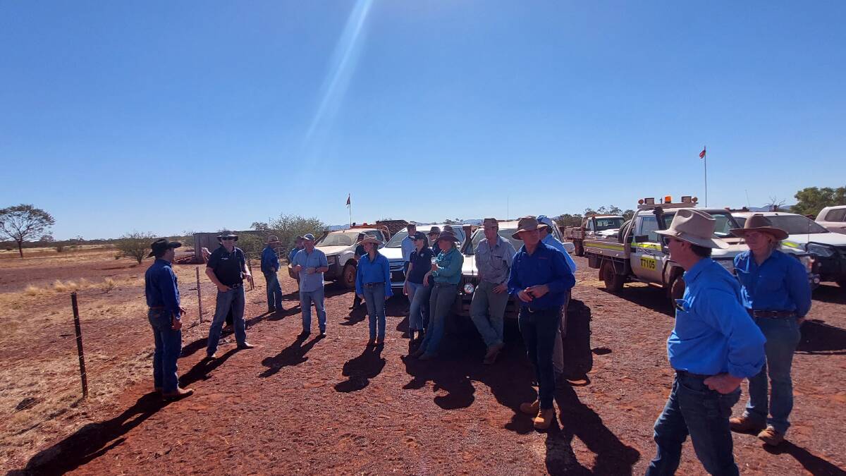 Hamersley station hosted a field day in August to showcase the Rio Tinto and The University of WA trial.