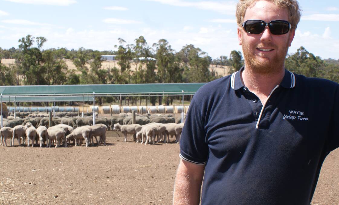 WAMMCO Producer of the Month winner for November 2021, Wayde Robertson, Yalup, Boyup Brook.