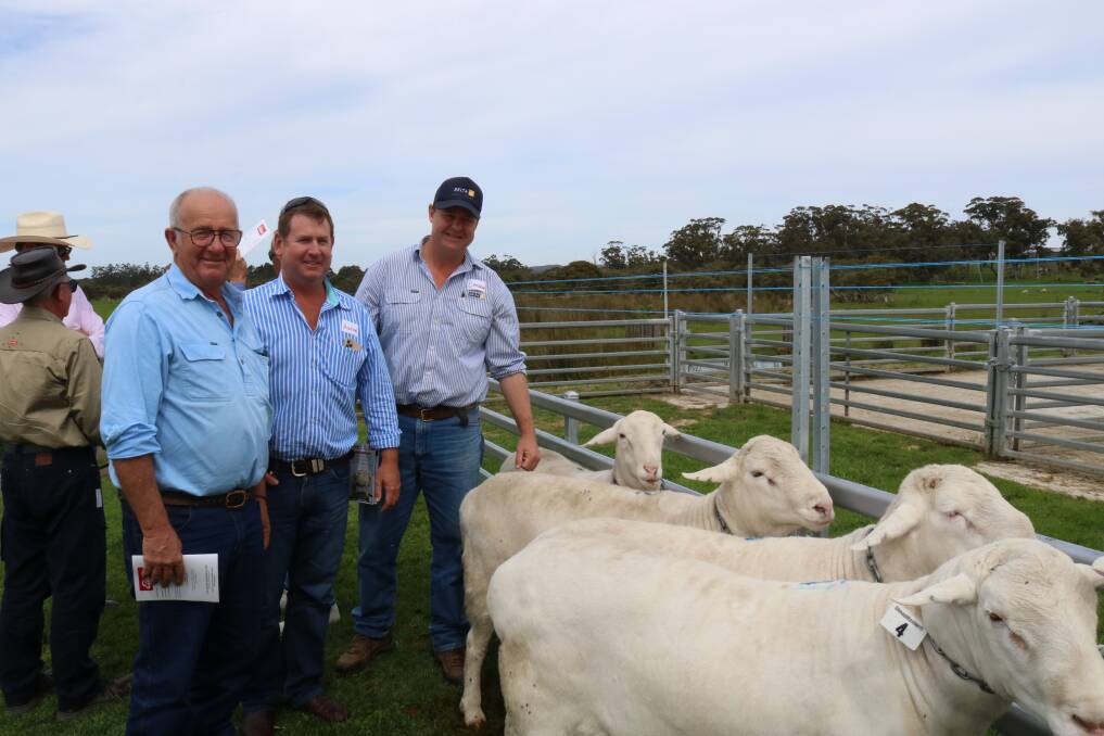 Looking over the sale rams on display were New South Wales buyers Ben Nicholls (left), Tottenham, Aaron Nicholls, Gundagai and Delta Agribusiness livestock manager, Cameron Rosser, Young.