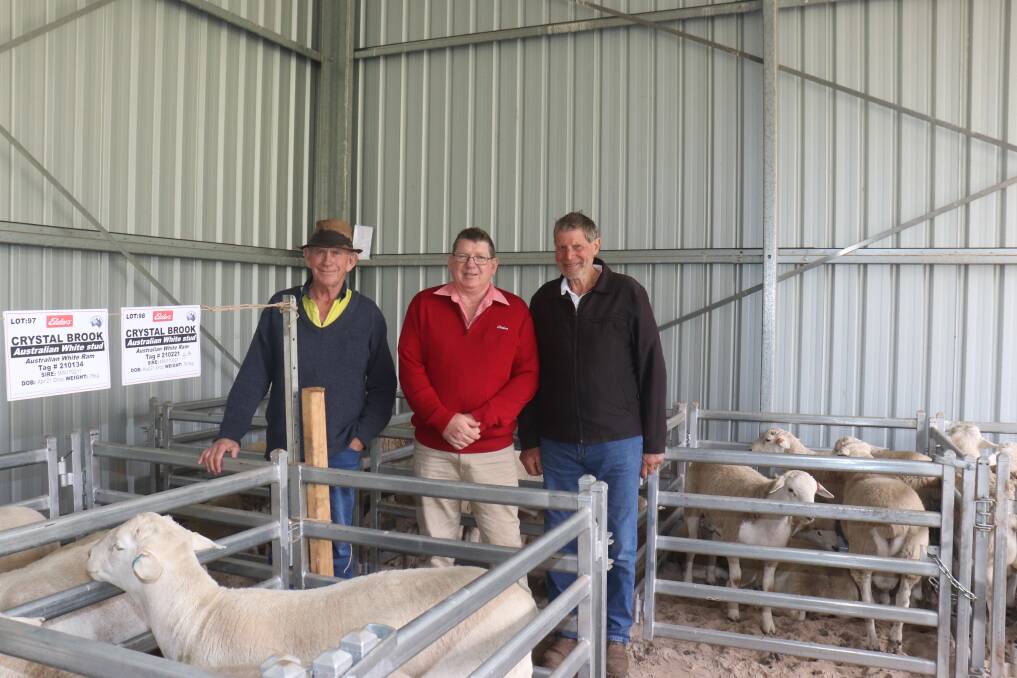 The second top price buyer David Kain (left), Basildene Farms, Arthur River, is pictured with his $2200 ram. With him were Elders stud stock prime lamb specialist Michael ONeill and Crystal Brook stud principal Laurie Chittleborough.