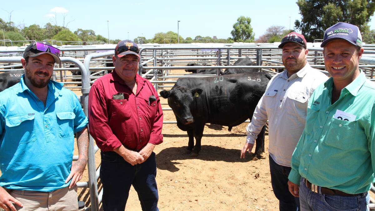 Hayden (left), Graham and Blair Mackail, Thisledo Pty Ltd, Red Gully and Nutrien Livestock, pastoral agent Shane Flemming, with Thisledo Pty Ltds $10,000 top-priced bull Ardcairnie Sir Loin S28 (by a Sydgen Trust 6228 son Ardcairnie J27). Thisledo Pty Ltd were the sales equal volume buyers with six bulls.