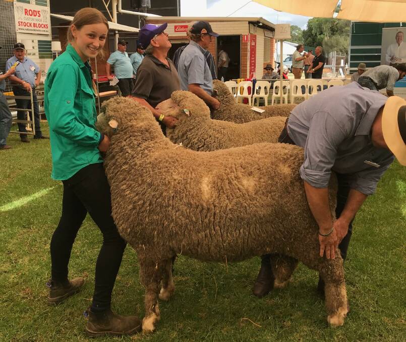Marion Lewis showing rams at the 2021 Wagin Woolorama. 