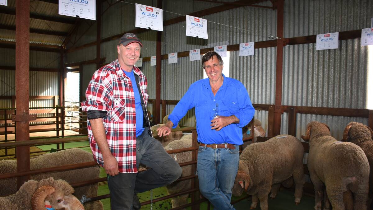 Catching up after the sale were the sales volume buyer Paul Baker (left), Redhill Grazing, Woodanilling and Wililoo co-principal Clinton Wise, Woodanilling. In the sale Mr Baker purchased nine Poll Merino rams at an average of $889 and four Merinos at an average of $850.