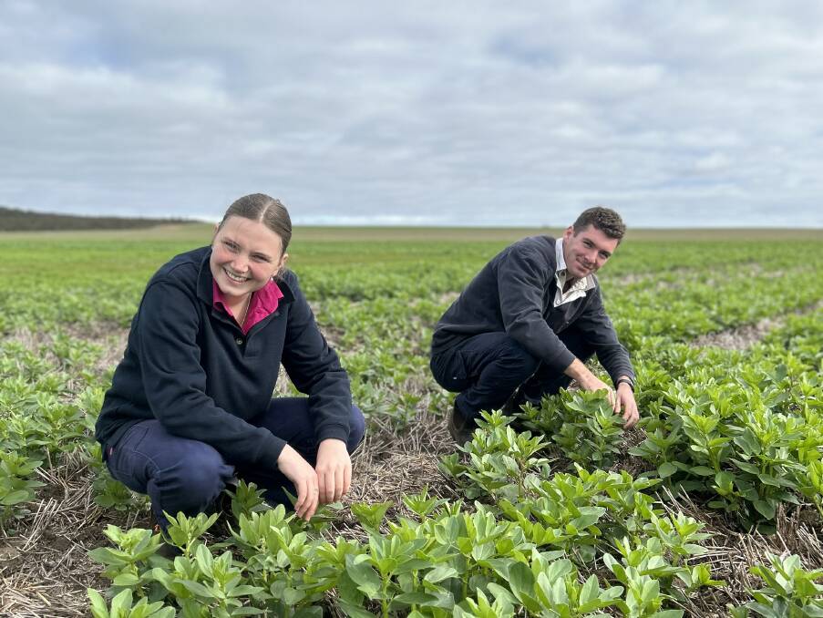 South East Premium Wheatgrowers Association (SEPWA) scholarship recipients Sophie Inkstar and Connor Fraser, disease scoring a faba bean fungicide regime trial. SEPWA has helped foster a great learning environment for the younger generations coming through the agricultural industry in the Esperance region, with the groups Youth in Ag subcommittee going strong.