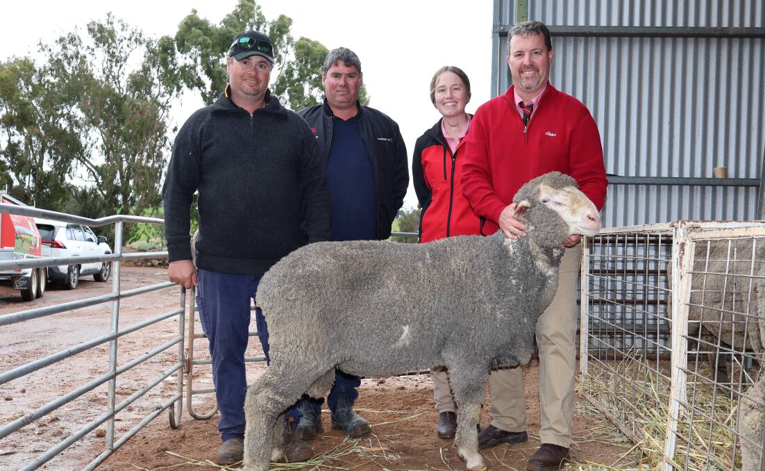 San-Mateo stud co-principals Nigel (left) and Damien Morrison, with Elders stud stock representatives Lauren Rayner and Nathan King who purchased this equal $3000 top-priced ram, for the King family, Warralea stud, Gairdner.