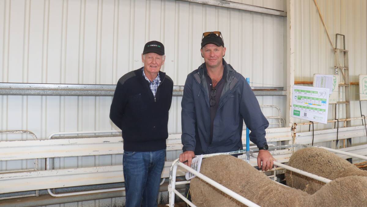 Looking over the line-up of rams before the sale were West Wagin buyers, Jeff Abbott (left) and Bryan Kilpatrick.