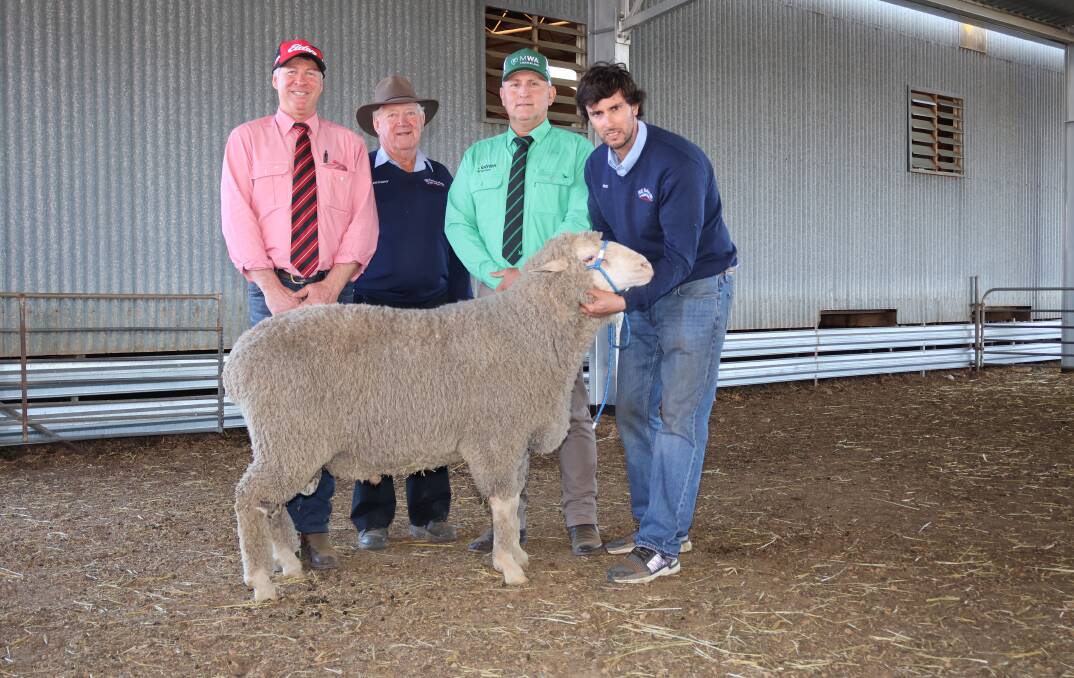 Elders stud stock representitive Jeff Browne (left), operated AuctionsPlus throughout the Hill Padua sale, bidding on behalf of top-priced buyer Richie Steele, Outback MPM, Mundadoo, The Marra, New South Wales, who purchased this ram for $7400. With him is Hill Padua stud principal Anthony Thomas, Nutrien Ag Solutions Mid West agent Craig Walker and Hill Padua studmaster, Fred Echaniz.