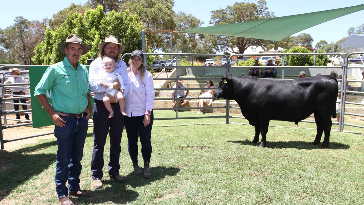 With the $21,500 top-priced bull Ardcairnie Sophisticated S96 (by Millah Murrah Paratrooper P15) at the second annual Ardcairnie Angus bull sale for new stud owners the Dewar family, Guilderton, held at the Gingin Sale Complex last week, were Nutrien Livestock, Gingin agent Greg Neaves (left) and Ardcairnie stud co-principals Joe and Jessica Dewar and their son William.
The bull sold to a local buyer on AuctionsPlus.