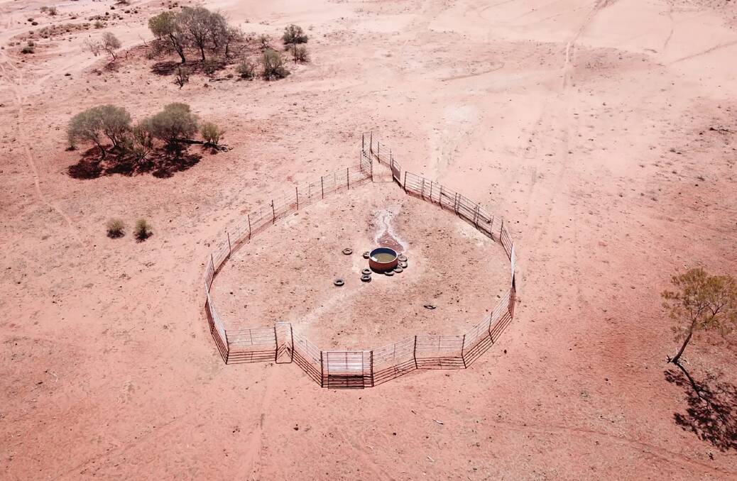 Taking over at Prenti, the Carmodys' first priority was to develop its 36 water points, including installing self-mustering yards with a spear gate entrance and a voice-activated, automated exit gate which can be operated via a domestic Google Display. 