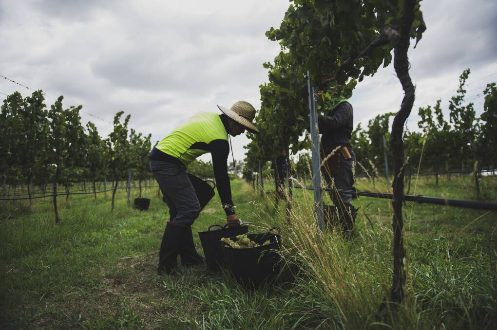 Negotiations with South East Asian countries on a new agricultural worker visa have stumbled amid accusations the Australian Workers Union has been "scaremongering" .