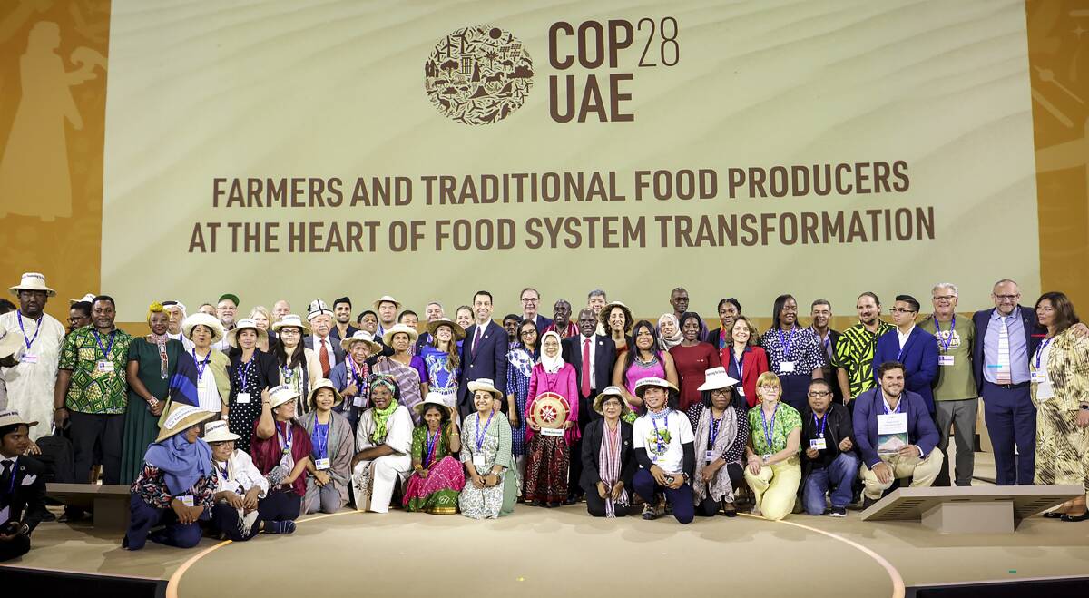 Farmers and traditional producers at the Heart of Food Systems Transformation session during COP28. For the first time food and agriculture were front and centre on the agenda. Mr McAlpine is standing third from the right. Photo by COP28/Christophe Viseux. 