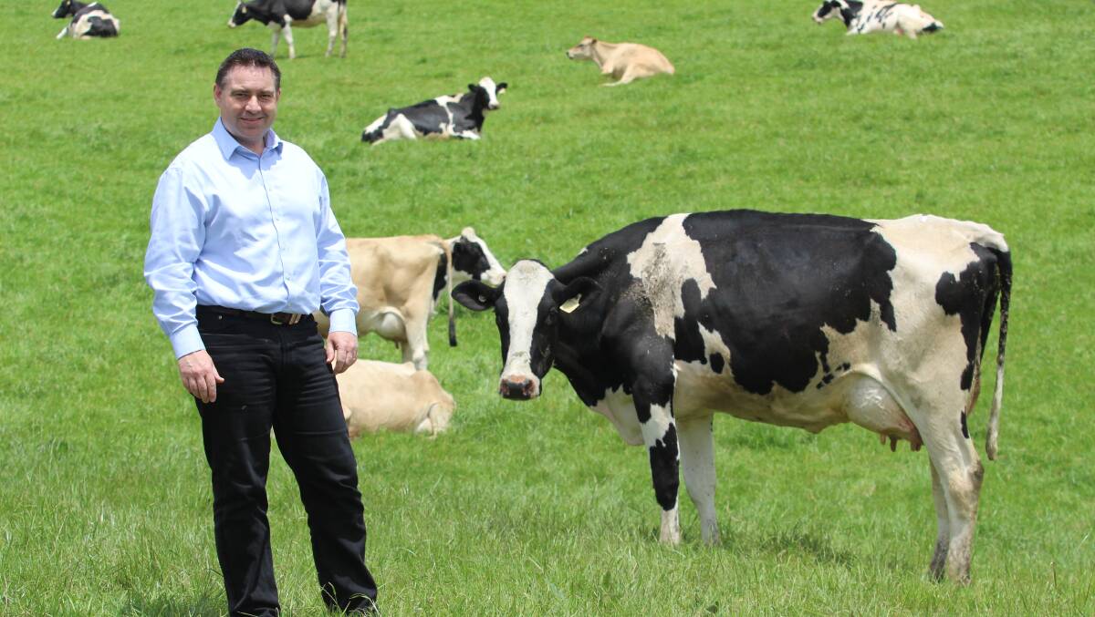 BURRA STEP-UP: Burra Foods chief executive Stewart Carson says limited globaly supply growth in the dairy sector had enabled the company to leverage the capability of its factory and maximise value from milk solids.