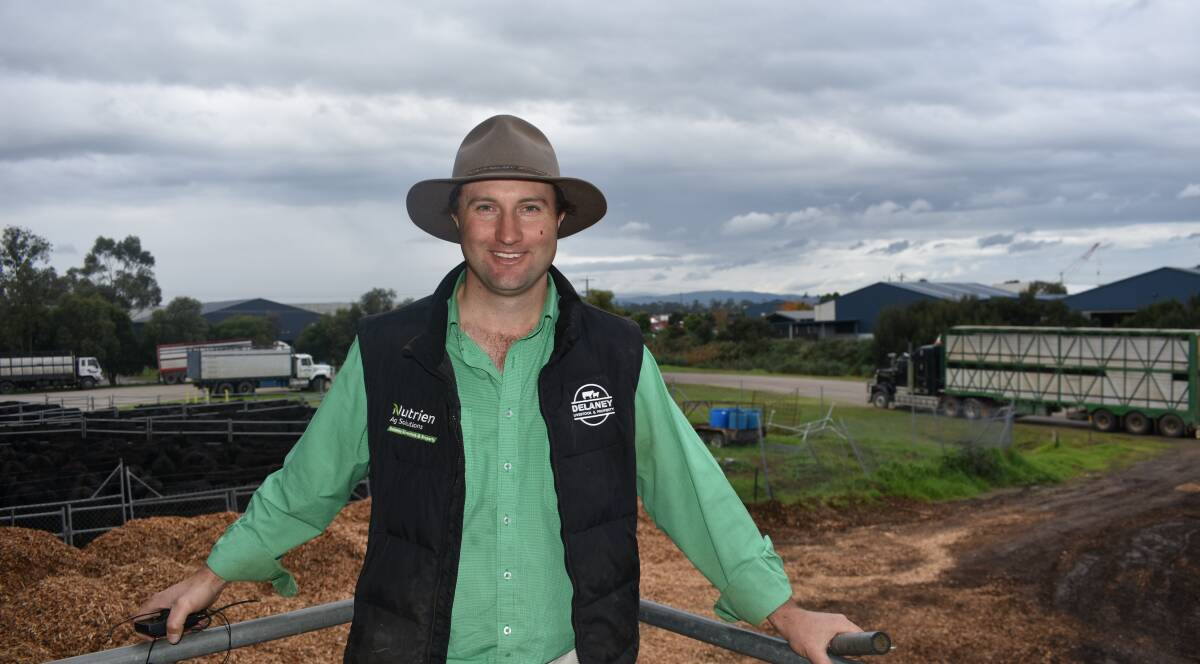 TEMPORARY DROP: Delaney Livestock and Property auctioneer Anthony Delaney says he expects the dip in store cattle numbers to only be temporary.
