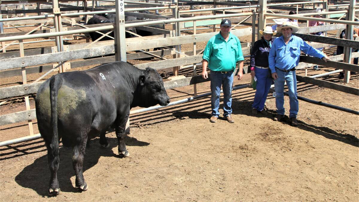 The top-selling bull, Bonnydale Proclamation R116, pictured with Jake Berghofer, Sharon Wraight and the bull's purchaser, son Casey Wraight, Westmore, Roma.