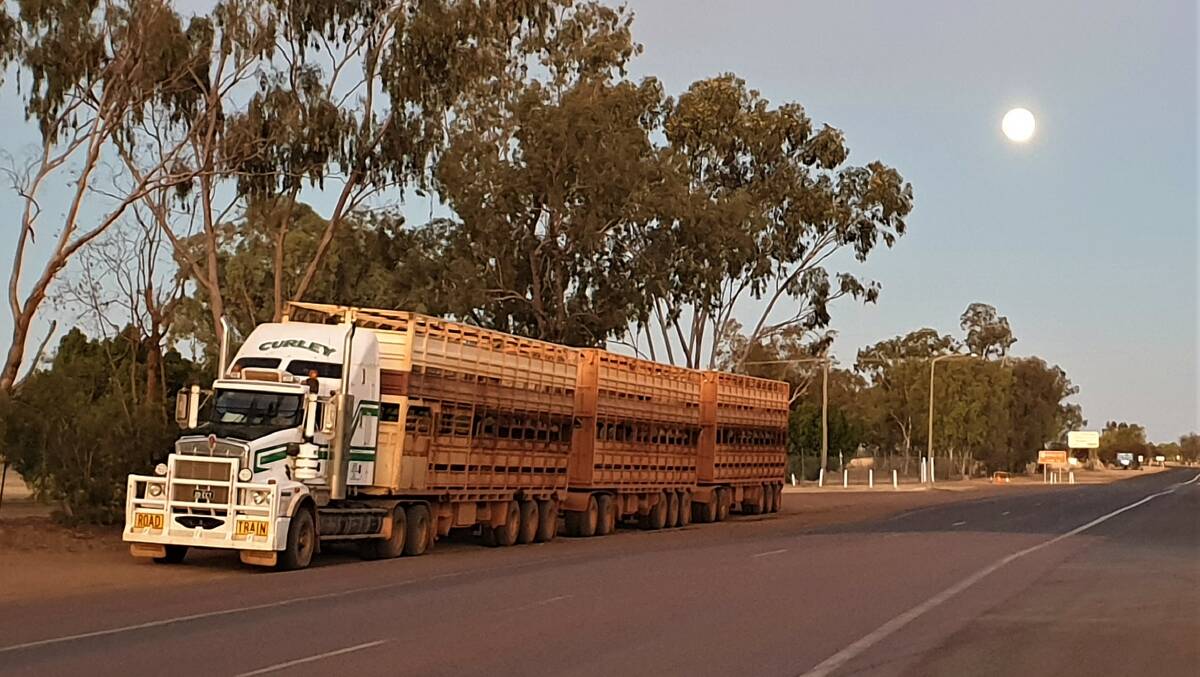 Livestock and freight trucks have been a constant on national highways throughout the COVID-19 pandemic.