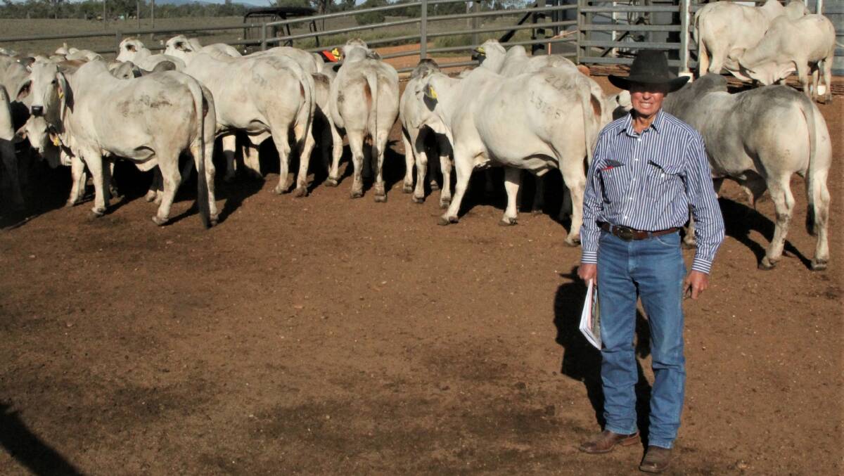 Elrose's Rodger Jefferis pictured with some of the cows and calves sold on day one of the major reduction sale.