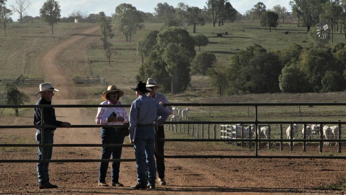 Vendor Rodger Jefferis chats with potential vendors at the end of the first day of the reduction sale at Inverrio, Duaringa.