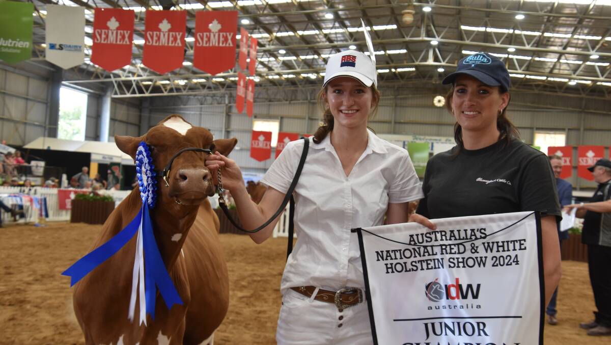 The 2024 International Dairy Week Red and White Holstein junior champion Cherrylock Tequila Tim Tam-Imp-Red-ET with leader Imogen Kath and owner Stephanie Goode, Poowong North, Vic. Picture by Carlene Dowie 
