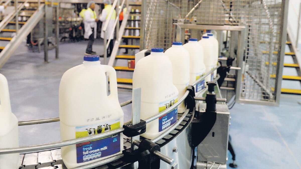 Coles is looking to buy the milk factories owned by Saputo where its own brand milk is processed. File picture