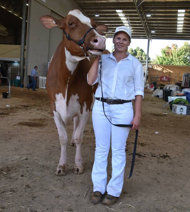 The 2024 International Dairy Week senior champion Gorbro Unstopabull Admire with leader Kelly Bleijendaal. Picture by Carlene Dowie