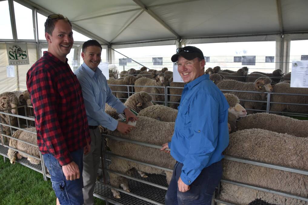 Merino money: Drew McRae, AWN's Kelvin Shelley and Paul Hucker inspect Stud Park South rams on display as part of the Southern Victorian Merino Field day last week. 
