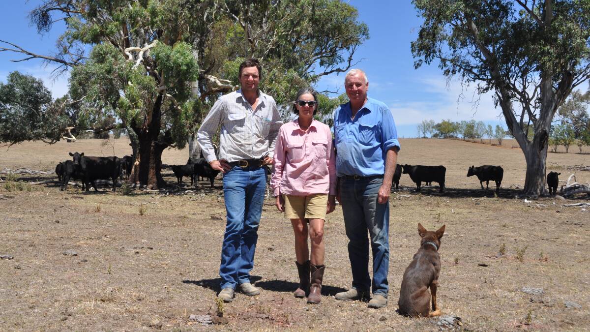 Grazing plan: Stuart, Joanna and John Tait, Tait Pastoral Company, Mandurama, NSW, with a run of their seven-year-old Angus cows and their dog, Wendy. 