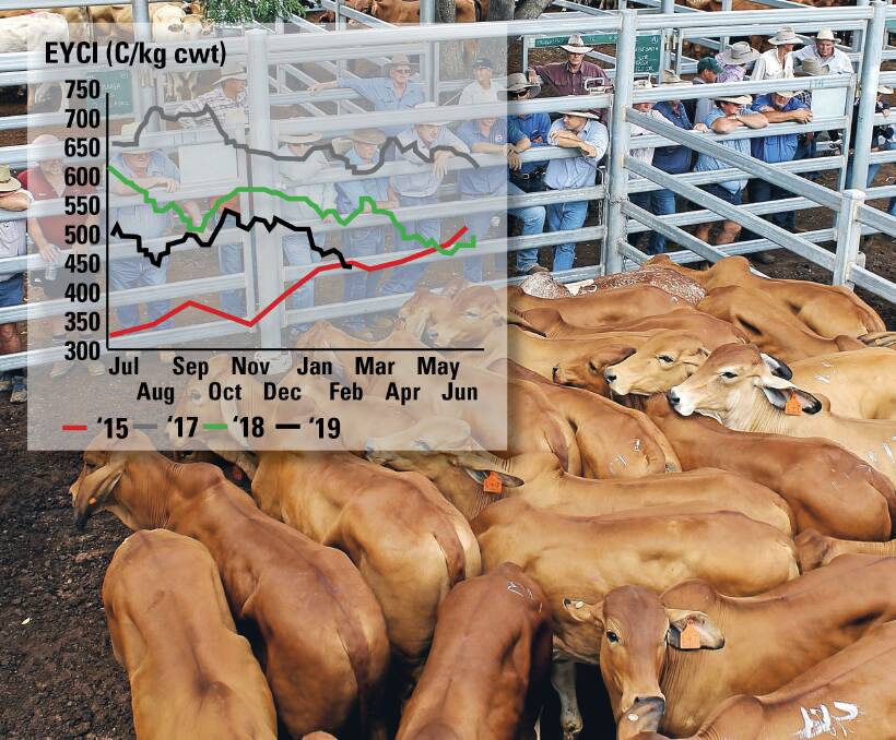 Graph showing the 2019 Eastern Young Cattle Indicator tracking below levels in 2015. Source MLA 