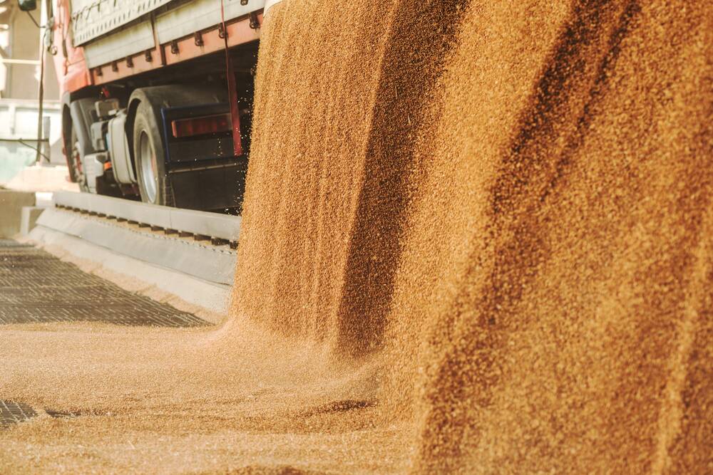 Although not desirable, crop production problems in parts of the US, Canada and Russia will potentially generate export opportunities for Australia's grain growers.