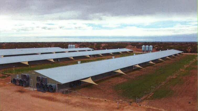 A photograph of a free range broiler shed on the Development Application. 