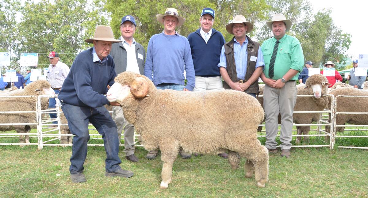 Bonanza Merinos, Walgett, returned to pay $12,000 for the top-priced horn ram at Haddon Rig Merino sale, Warren. Pictured is stud classer Stuart Murdoch holding the ram with Haddon Rig principal, George Falkiner, buyer, James Morris, guest auctioneer Paul Dooley, Haddon Rig manager, Andy Maclean and Nutrien Dubbos Brad Wilson.