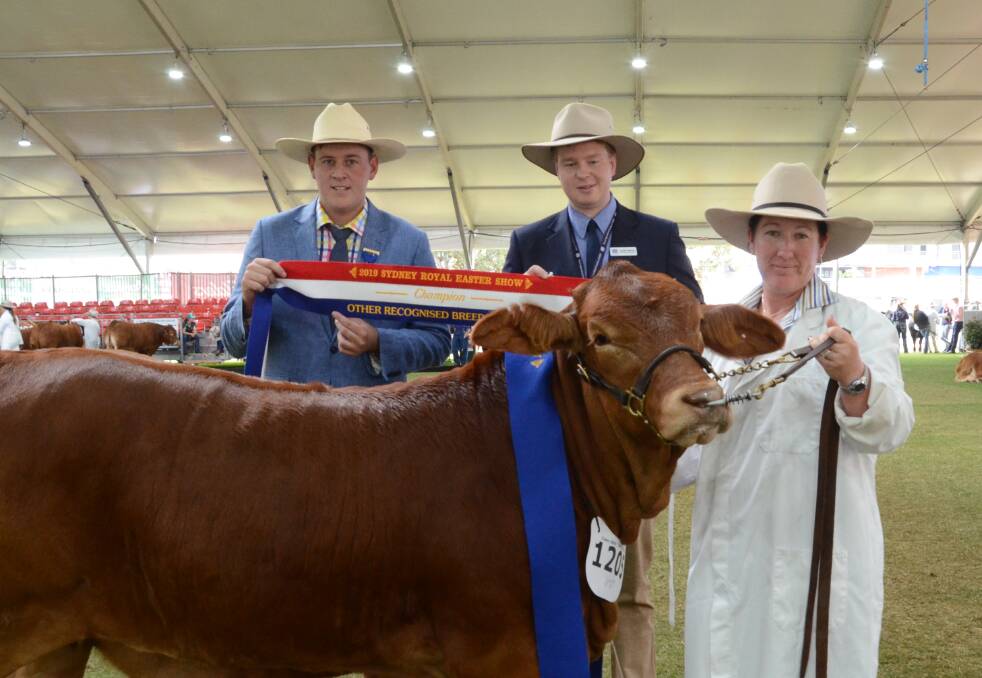 Judge, Harris Thompson, Venturin Livestock, Boyup Brook, WA, RAS Young Achiever, Lachlan Patterson, Kinellar, Canowindra, sash champion Other Breeds female, Quicksilver 8/804 (P) (AI) D5, shown by Doug and Dani Giles, Newdegate, WA, and held by Casey Morris.