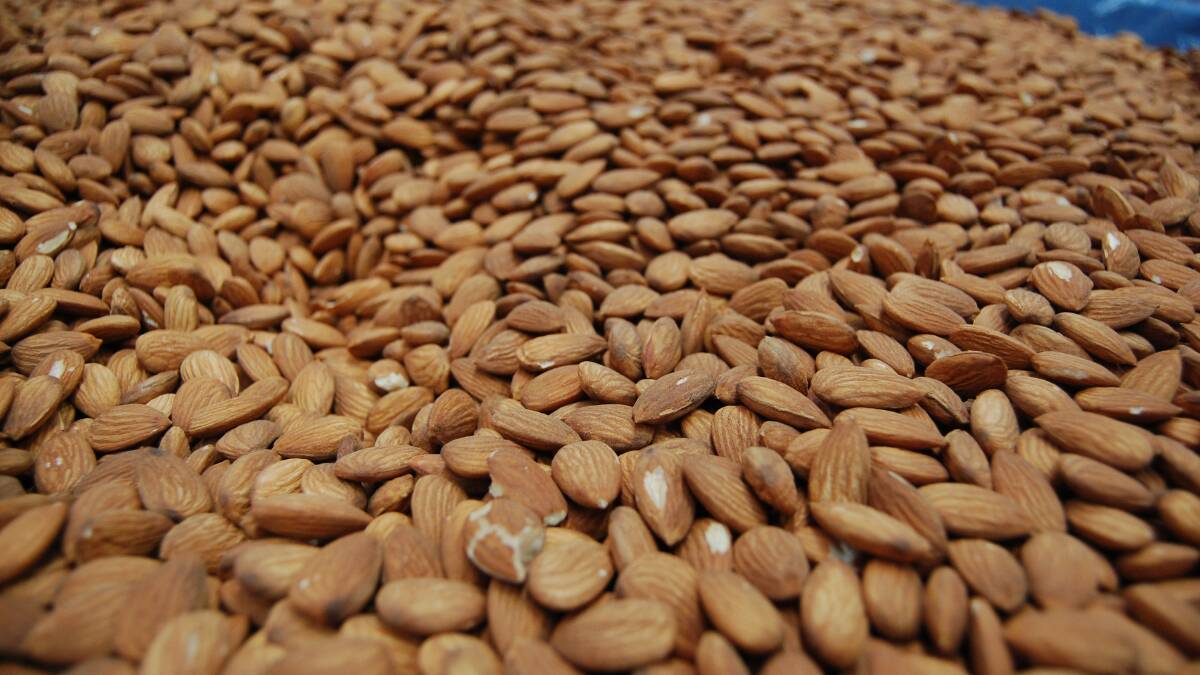 Chile deal to benefit almond growers