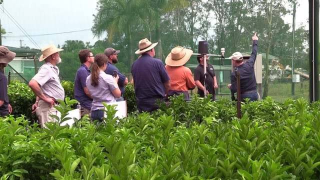 INSIGHTS: A tour group moves through Golden Grove Nursery at Torbanlea, Queensland. 