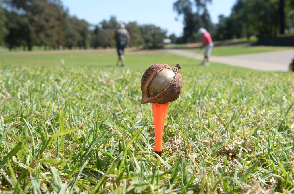 DRIVE: Could nut orchards take some lessons from sports turf consultants? One industry thinks it can. Photo: Rachael Webb