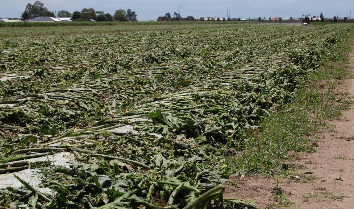 COSTLY: The National Lost Crop Register has gone past $45 million.