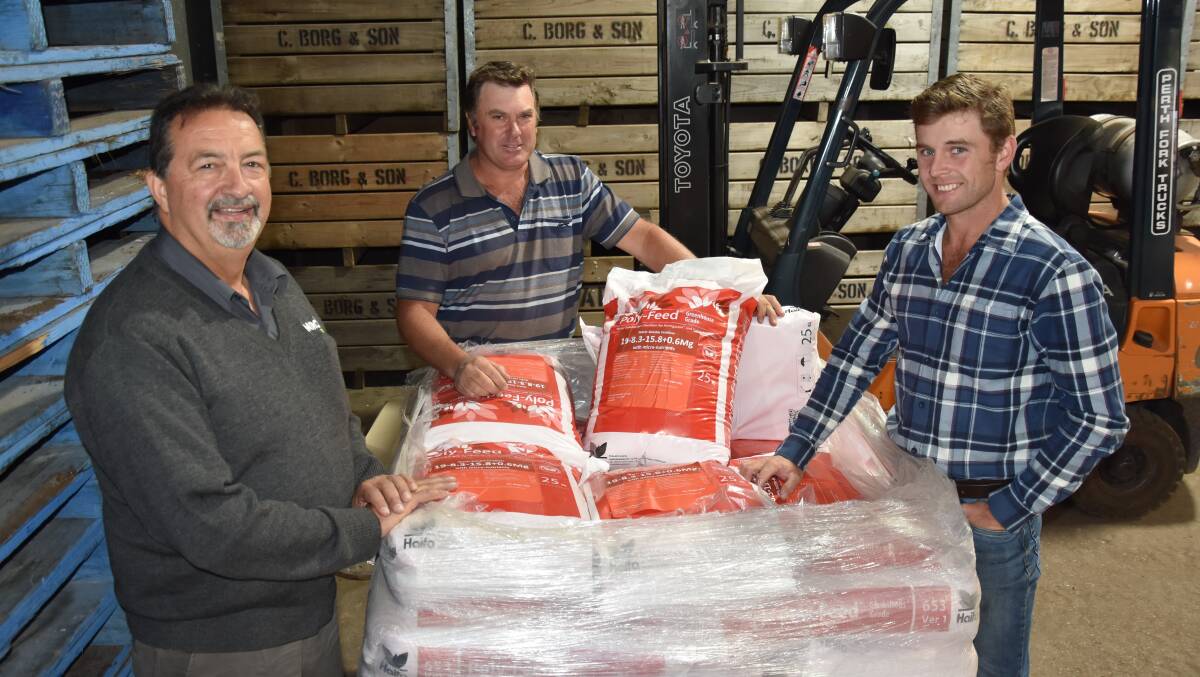ON SITE: Rob Illiano, Mirco, and Matt and Joseph Borg with newly delivered Haifa Poly-Feed fertiliser set to be fertigated at the familys Jarrahdale orchard in the Perth Hills, WA.