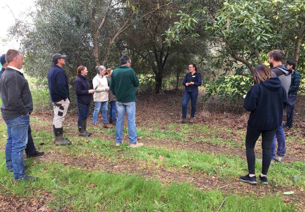 ON GROUND: DPIRD research scientist Alison Mathews discussed sampling and monitoring techniques with avocado growers at a recent six-spotted mite management workshop at Manjimup. 