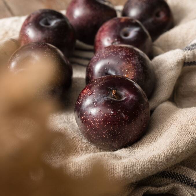 HEALTHIER: The company behind the Queen Garnet plum expects increased export sales amid the ongoing coronavirus pandemic. 