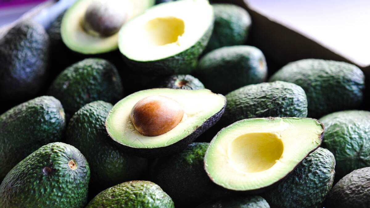Hass avocados from WA are set to recommence exports to Thailand. Picture supplied