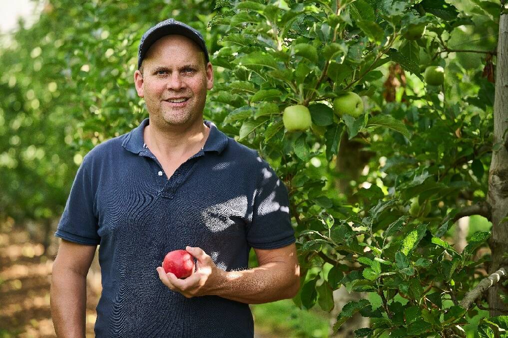 Newton Valley Orchards owner Michael Giblet, Manjimup, WA, within one the orchards which is now covered, thanks to a Coles Nurture Fund Grant. Picture supplied