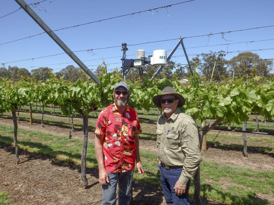 IN FIELD: Table grape grower Brian Stanicich (left) and DPIRD senior technical officer, Colin Gordon, with one of the newly installed weather stations in the Swan Valley being used to evaluate commercial digital disease risk prediction tools.