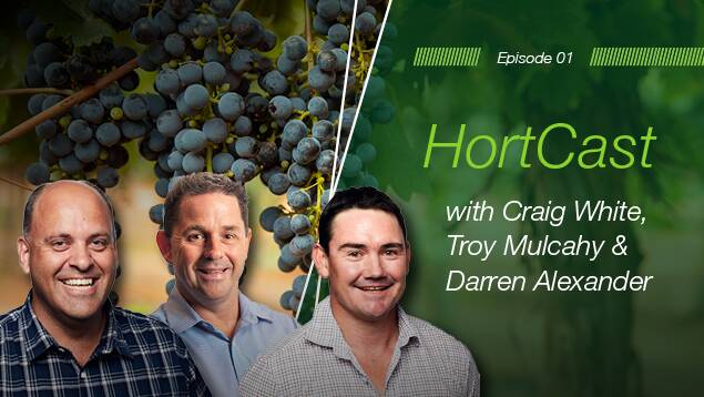 Bayer launches hort-specific podcast