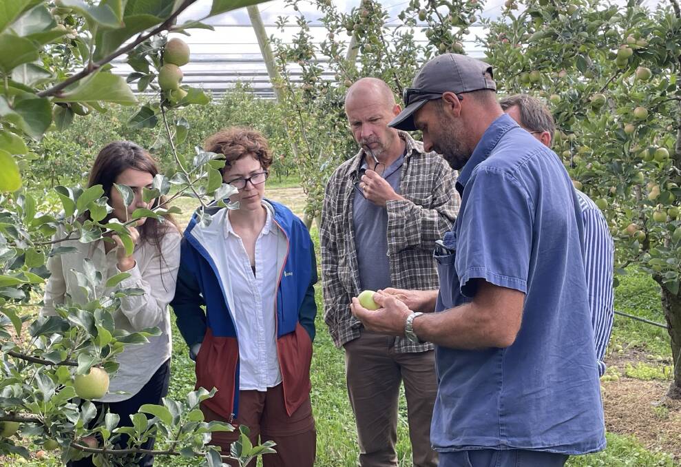 CSIRO researchers discuss trade-related biosecurity challenges with Daniel Nicoletti, Nicoletti Orchards, Queensland representative to the APAL board. Picture supplied