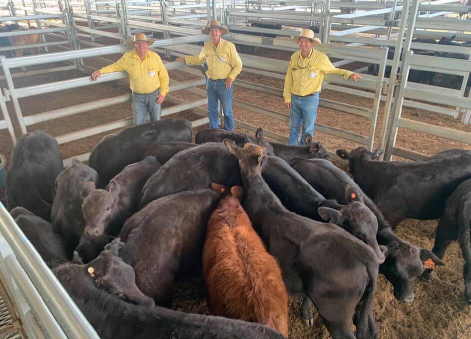 Gary Wendt, Col Goodwin, Trevor Humble, Ray White Rural Gracemere, with the top pen of heifers which sold for 408.2c/kg.