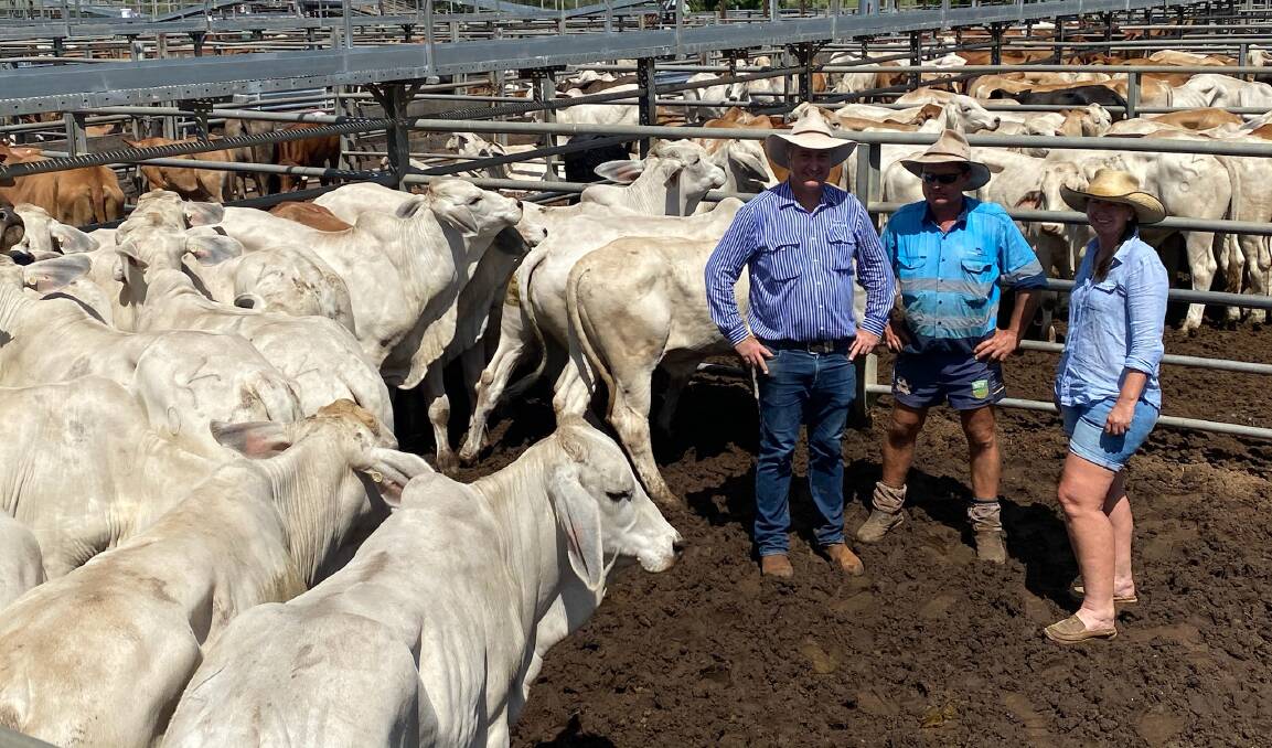 Selling agent Matthew Geaney with Vincent and Tamara Hill-Warner, Charters Towers, who sold a run of steers, with this pen of 22 Brahman No. 0 steers making 450.2c/kg to weigh 292.3kg and return $1315.81/hd.