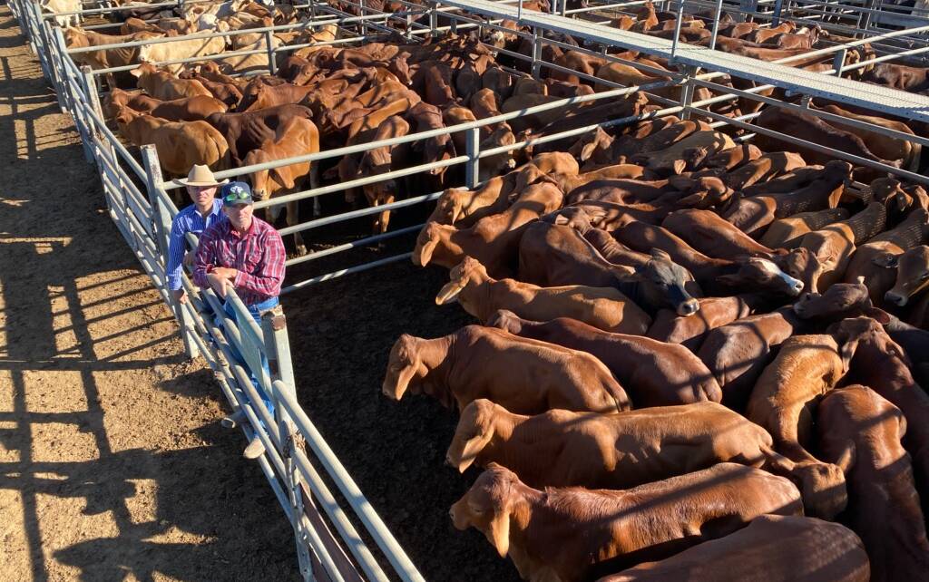 Troy Williams with Bob Andison, Cranbourne, Charters Towers, who sold 127 steers 280kg to top at 366.2c, average 364.3c and average $1020/hd. Picture: Matthew Geaney.