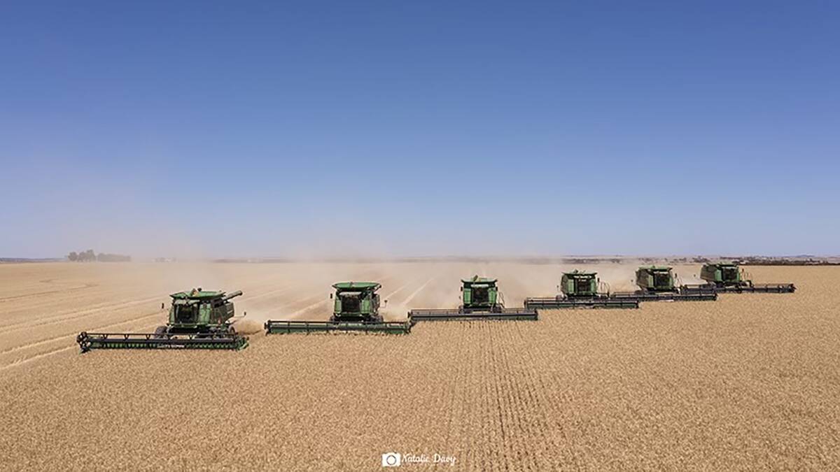Western Australian farmers and businesses again lead the way with their record breaking harvest totals for the 2022/23 season and are on track to increase their percentage of the national total. Photo: Natalie Davy Photography